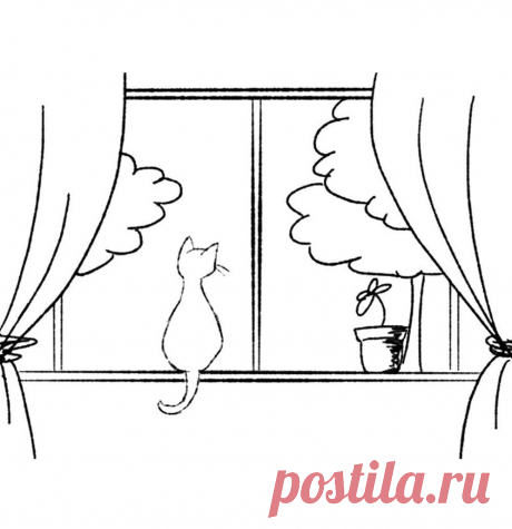 Раскраска кошка на окошке для детей (Большой выбор фото) - drawpics.ru