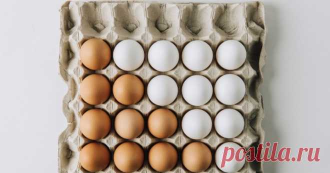 Коричневые или белые? В чем разница между яйцами разного цвета? | Краше Всех
