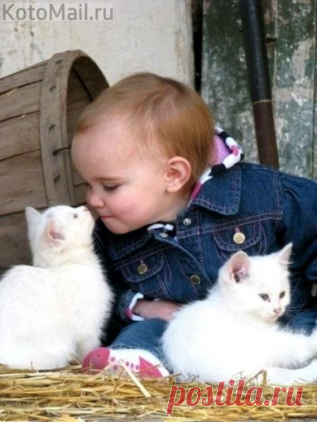 Чтобы стал добрым ребенок, ему помогает котенок | KotoMail.ru