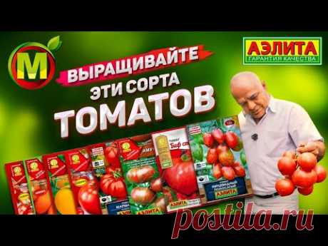 Какие сорта помидоров выращивать? Обзор семян томатов.