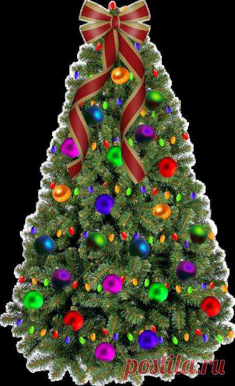 Colorful Christmas Tree Graphic - PNG and Paint Shop Pro Tube