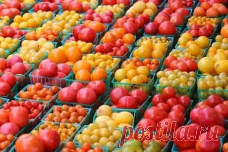Как выбрать лучшие сорта помидоров для посадки?
#семена #помидоры #огород