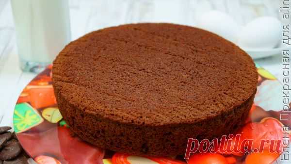 👌 Воздушный бисквит для торта на кефире, рецепты с фото