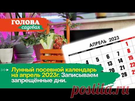 Голова садовая - Лунный посевной календарь на апрель 2023. Записываем запрещённые дни