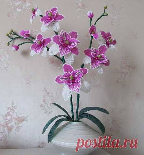 Орхидеи из бисера очень популярны в рукоделии. В отличие от настоящих, эти цветы очень легко сделать, и они очень красивы круглый год. Сегодняшний