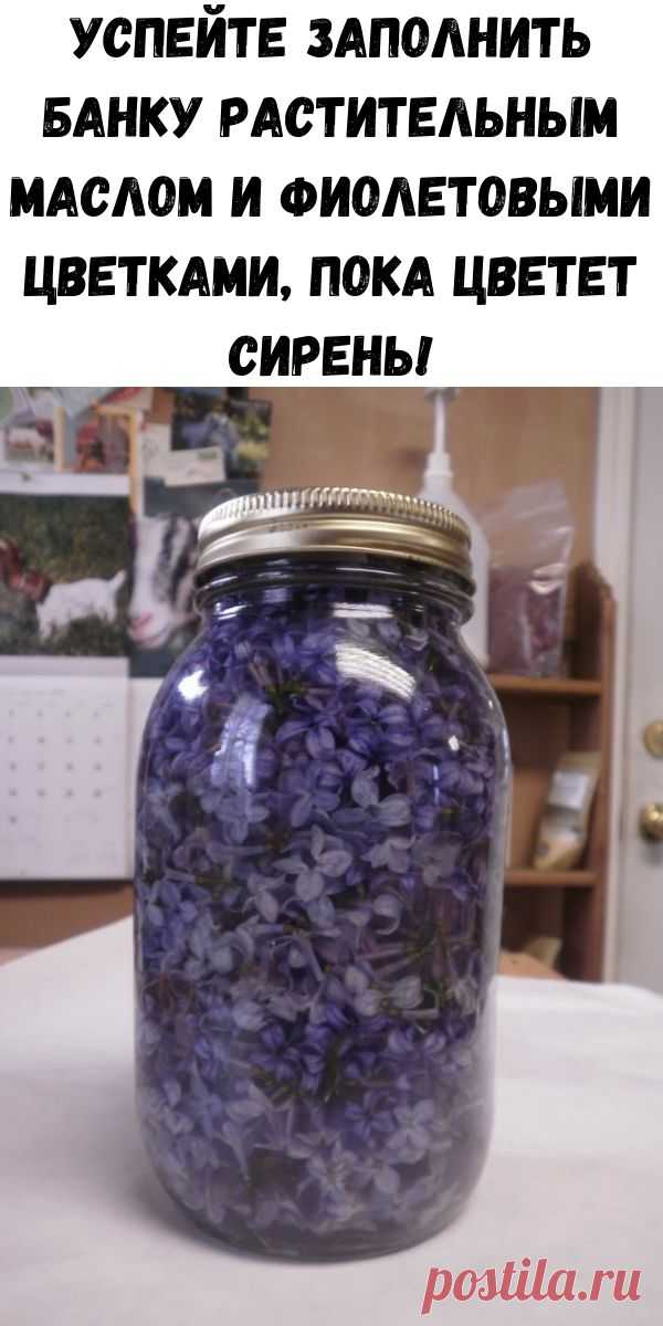 Успейте заполнить банку растительным маслом и фиолетовыми цветками, пока цветет сирень! - Счастливые заметки