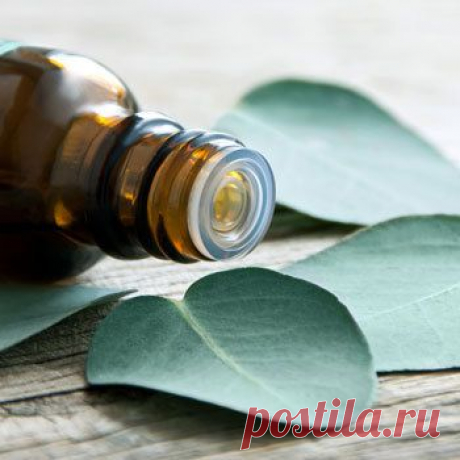 Натуральные эфирные масла – лекарства, созданные природой