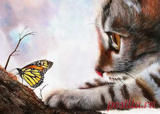 рисунок котенок и бабочка — Яндекс: нашлось 3 млн результатов