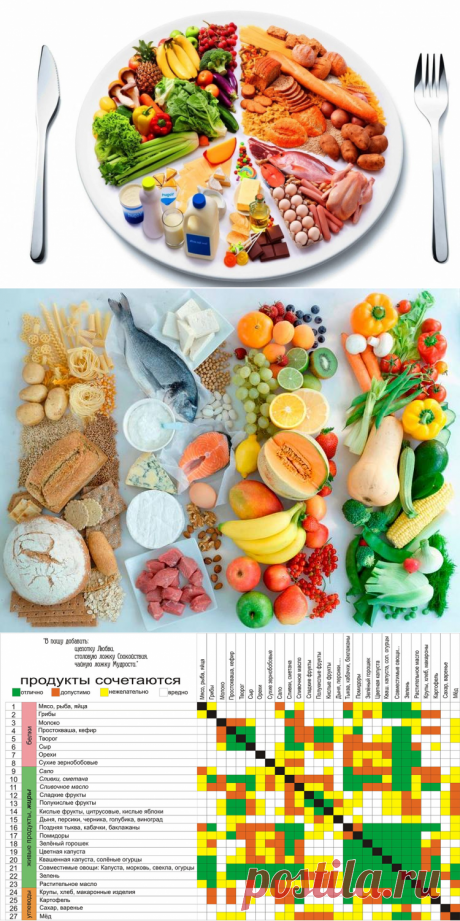 Правильное сочетание продуктов для здоровья и похудения – таблица Шелтона | Я и Фитнес