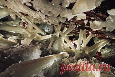 Сказочные места планеты /Пещера гигантских кристаллов
Подземный мир полный чудес! Эти удивительные пещеры, названые Пещерами кристаллов (Cueva de los Cristales), находятся в мексиканской пустыне на 300 метровой глубине.
Эти формирования создавались природой несколько миллионов лет.