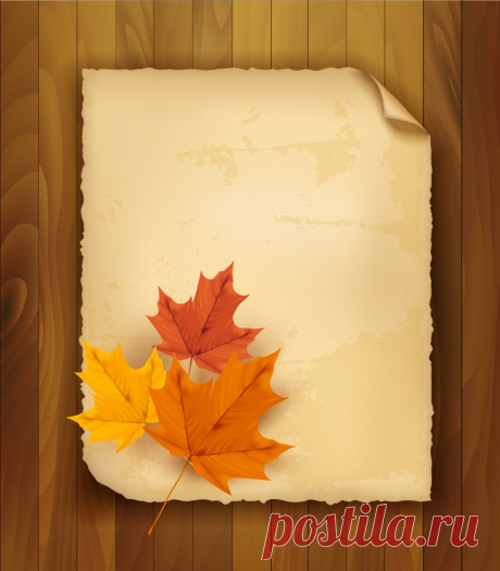 How to Draw Autumn Leaves on Old Paper and a Wooden Background in Adobe Illustrator