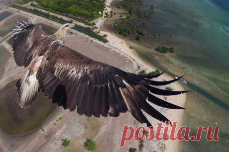 (+1) тема -  с высоты птичьего полета - победители конкурса Dronestagram | НАУКА И ЖИЗНЬ