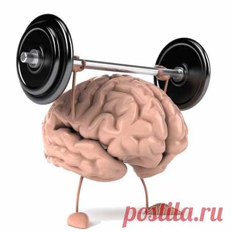 Тренируем извилины. 14 полезных упражнений для мозга / Будьте здоровы