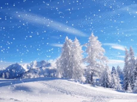 snow GIF - Find & Share on GIPHY