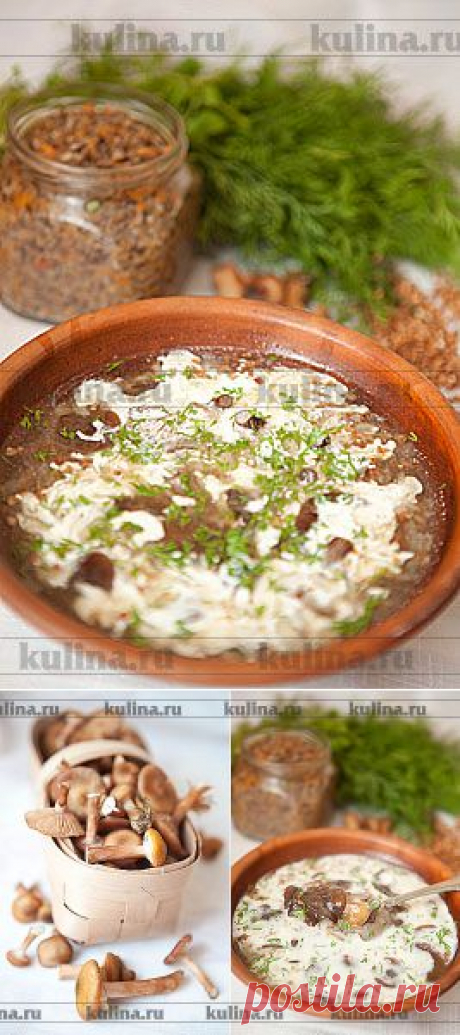 Суп из свежих опят с гречкой – рецепт приготовления с фото от Kulina.Ru