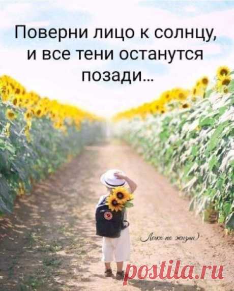 Одноклассники