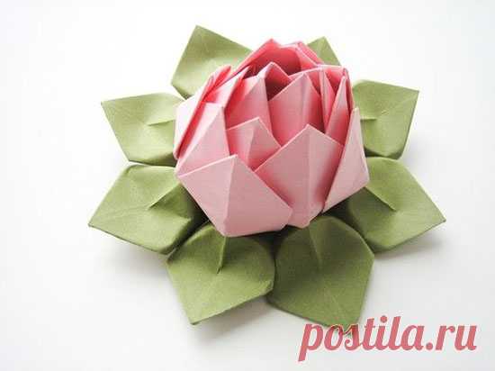 Цветок лотоса оригами