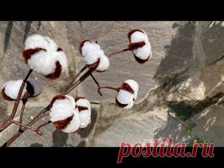 ABC TV | How To Make Cotton Flower With Pipe Cleaner - Craft Tutorial