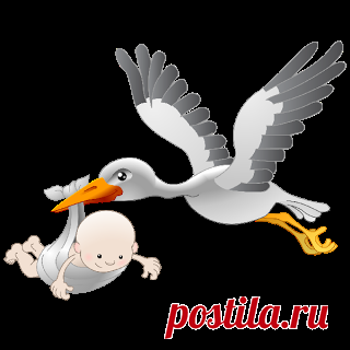 Stork Carrying Baby Girl - Cute Baby And Animal Pictures