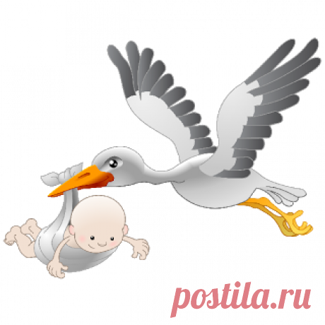 Stork Carrying Baby Girl - Cute Baby And Animal Pictures