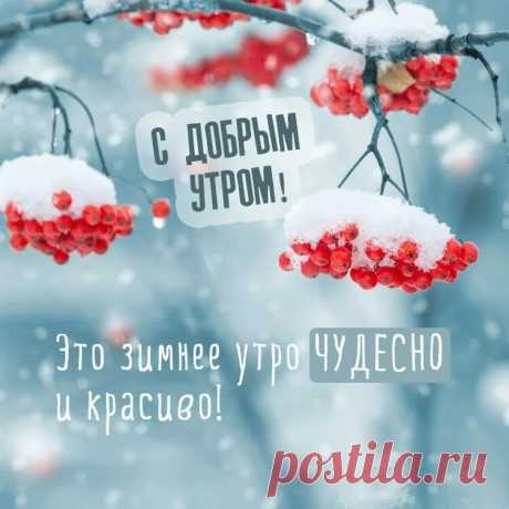 доброе утро зима: 2 тыс изображений найдено в Яндекс Картинках