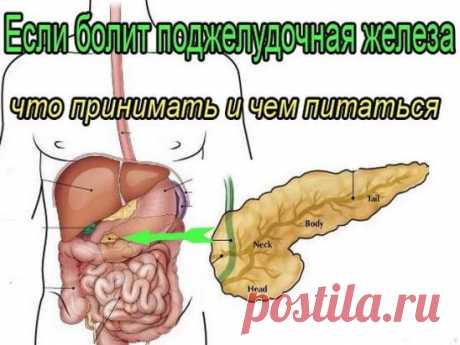 ✔ ПОЛЕЗНЫЕ СОВЕТЫ : 
Сохраните, чтобы не потерять.
СОВЕТ 1 : ЛЕЧЕНИЕ ПОДЖЕЛУДОЧНОЙ ЖЕЛЕЗЫ НАРОДНЫМИ МЕТОДАМИ 
То, чего не расскажет ни один врач!
Поджелудочная железа — один из важных внутренних органов 
человеческого тела, который отвечает за наше пищеварение. Сбой в работе поджелудочной чреват осложнениями и целым рядом заболеваний, таких как панкреатит или сахарный диабет. К счастью, есть прекрасные народные средства, которые помогают лечить этот орган не хуже лекарств. Если у тебя есть пробл