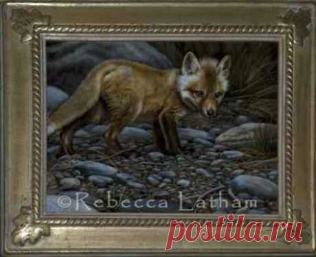 Red Fox Miniature Painting | Paintings of Wildlife &amp; Nature by Rebecca Latham