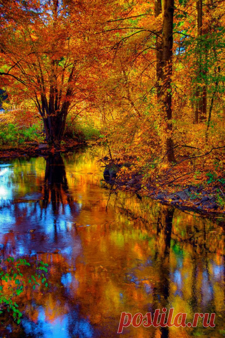 Осенний шарм в лесу