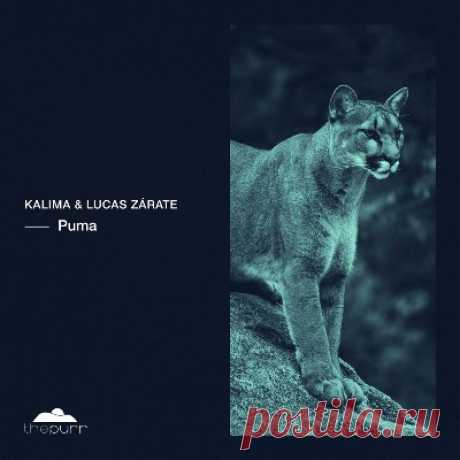 Kalima &amp; Lucas Zárate – Puma - FLAC Music