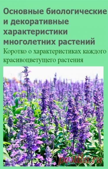 Основные биологические и декоративные характеристики многолетних растений. Все растения можно разделить на декоративные и биологические характеристики.

Красивоцветущие многолетние растения:

Адонис. Высота: 5-10 см. Окраска цветков: Желтая. Сроки цветения (месяцы): апрель, май.
Аквилегия.
Высота: 30-120 см. Окраска цветков: Разная. Сроки цветения (месяцы): май, июнь,июль.