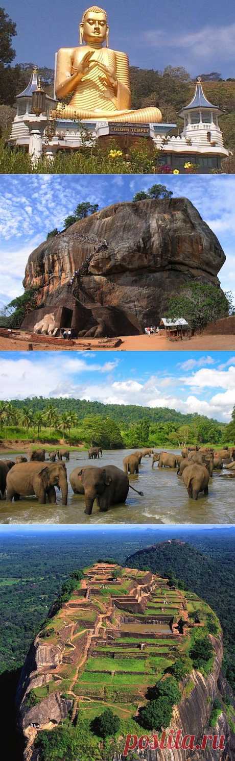 Короткая заметка об острове Шри-Ланка | ТУРИЗМ И ОТДЫХ
