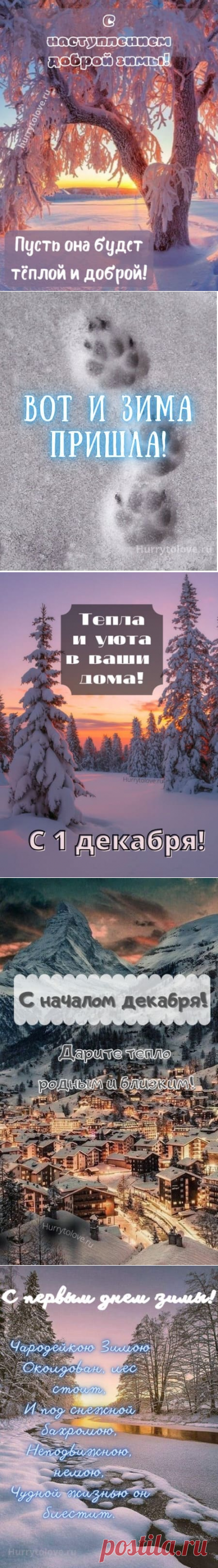 Картинки с первым днём зимы: прикольные и красивые открытки с надписями
