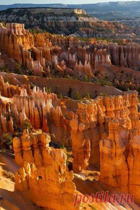 Национальный парк “Bryce Canyon”, Юта, США.

Каньон Брайс - совершенно фантастическое и потрясающее воображение место, главной отличительной особенностью которого являются группы hoodoos - пальцевидные останки древних скал. Обычно они окрашены в оранжевый, розовый и белый цвета, что еще сильнее затрудняет веру в их естественное происхождение.