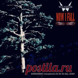 Wolfsheim - Now I Fall (30th. Anniversary Remaster) (2023) [Single Remastered] Artist: Wolfsheim Album: Now I Fall (30th. Anniversary Remaster) Year: 2023 Country: Germany Style: Synthpop, Darkwave