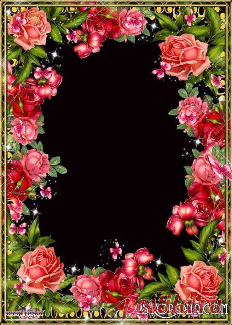 Roses white and red floral photo frame template, PSD, PNG. Transparent PNG Frame, PSD Layered Photo frame template, Download.
