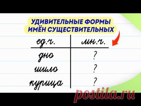 Как сказать эти слова во множественном числе? Проверьте себя! | Русский язык