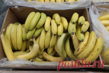 Ягода из Америки. Кризис в Эквадоре повысит ценность бананов в России. Эксперты рассказали о будущем эквадорских бананов.