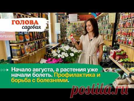 Голова садовая - Начало августа, а растения уже начали болеть. Профилактика и борьба с болезнями