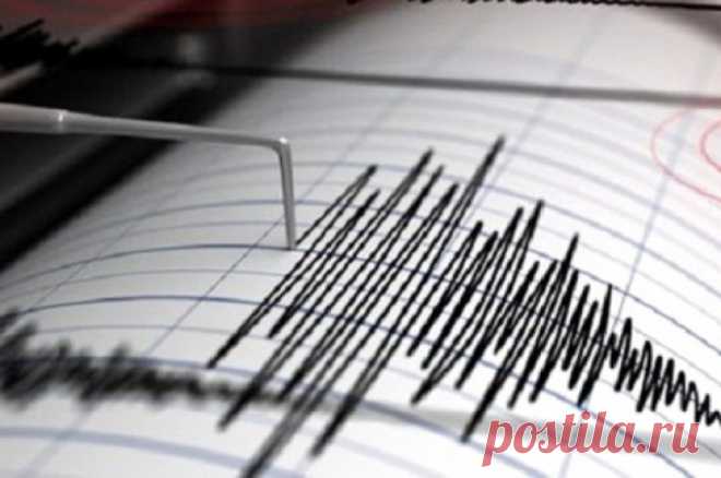 Землетрясение магнитудой 7 произошло в Китае. Подземные толчки зафиксированы недалеко от границ с Киргизией и Казахстаном.