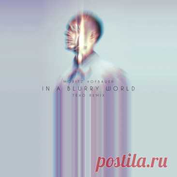 Moritz Hofbauer – In A Blurry World (Teho Remix) [FSLP006RX3]
