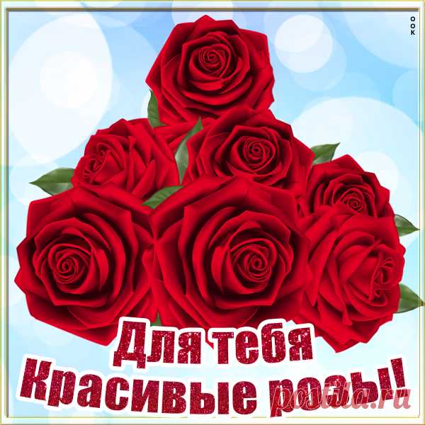 Картинка с красными розами