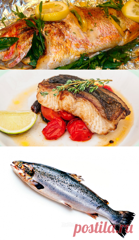 Рыба хока - описание, среда обитания, вкусовые качестве, полезные свойства, рецепты