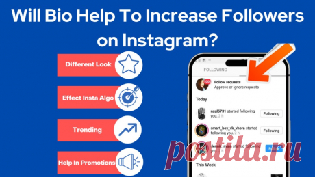 Will Bio Help To Increase Followers on Instagram?