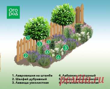 Схема клумбы