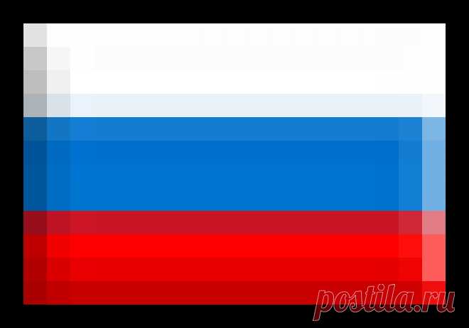 Избавляемся от медведки — 6 соток