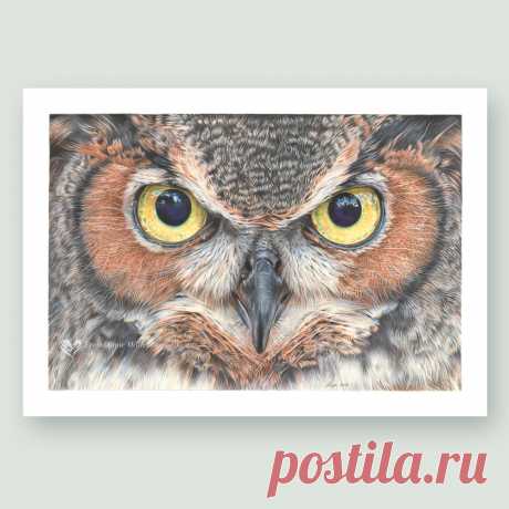 A Thousand Yard Stare - Eagle Owl wildlife art print by pencil artist Angie Buy limited edition prints and original wildlife art by UK pencil artist Angie, including stunning Eagle Owl portrait 'A Thousand Yard Stare'. Secure online ordering.