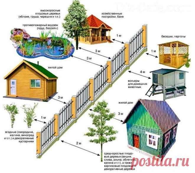 Нормативы расположение строений от забора Нормативы расположение строений от забора