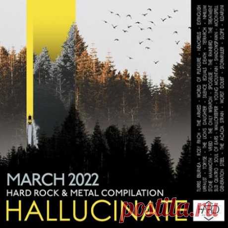 Hallucinate (2022) Презентуем Вам очередной разноплановый сборник хард рок музыки под названием «Hallucinate». Неповторимое звучание представленных композиций, собственный стиль исполнителей, широкий насыщенный саунд, которого музыканты добились благодаря своей усердной работе и безграничному таланту, все это на