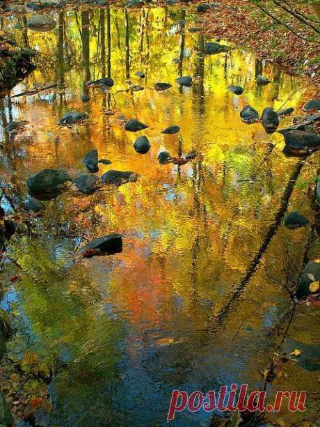 ~~Molten River ~ autumn leaves reflections by Stanley Zimny~~ | Carolyn Miller приколол(а) это к доске Autumn