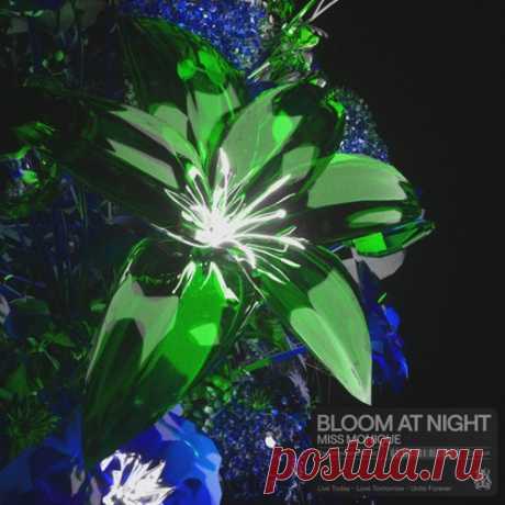 Miss Monique - Bloom At Night (Extended Mix) free download mp3 music 320kbps